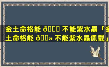 金土命格能 🕊 不能紫水晶「金土命格能 🌻 不能紫水晶佩戴」